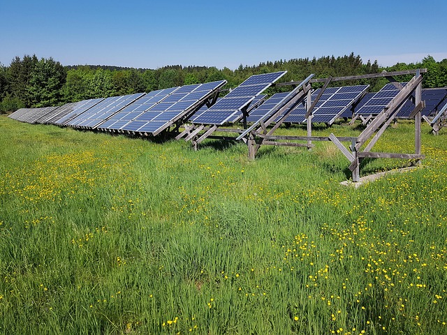 Cómo los Paneles Solares Pueden Aumentar el Valor de Tu Propiedad.