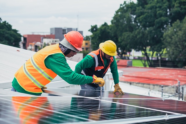 Paneles Solares en el Hogar: Ahorra Dinero y Cuida el Planeta